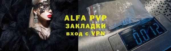 прущие грибы Богородицк