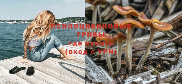 кокс Гвардейск