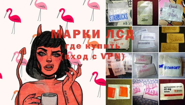 сатива Армянск