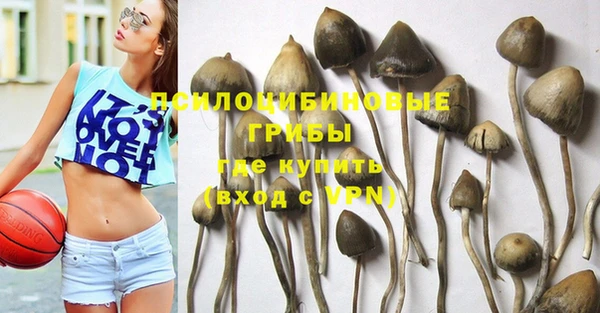 гидропоника Бугульма