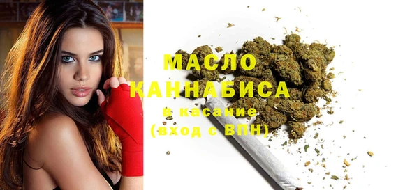 хмурый Аркадак