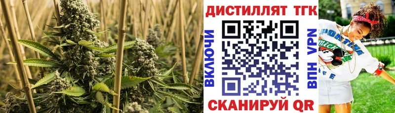 как найти наркотики Губаха shop состав ТГК жижа